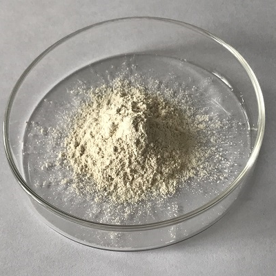 Complex Enzyme for Layer